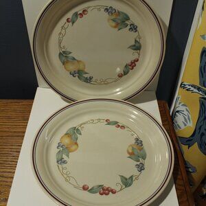 Corelle Abundance  Lot of 2 Dinner Plates 10 1/4"